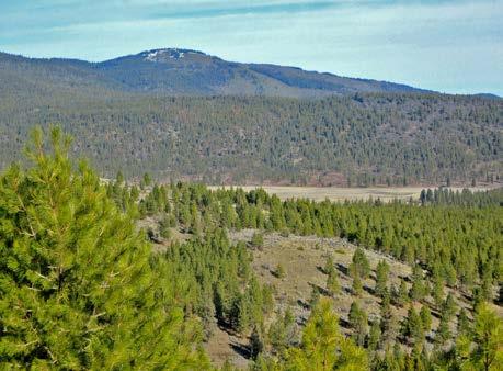 Executive Summary Among the largest deeded properties on the market in the Northwest, the Whiteline Ranch encompasses 20,140± contiguous acres in south central Oregon immediately east of famous Upper