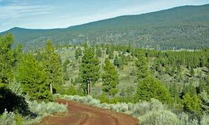 The ranch is bordered by a combination of private ranch holdings and federal lands managed by the Fremont-Winema National Forest and Bureau of Land Management.