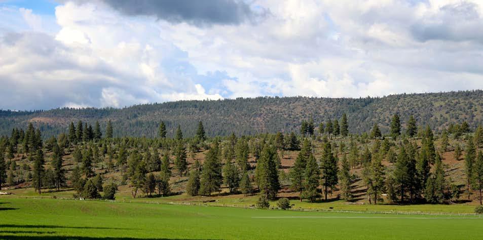 LOCATION The Chapman Ranch is located in southern Oregon s Yonna Valley 25 miles northeast of the city of Klamath Falls (population 21,000).