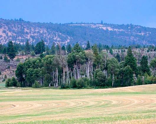 Klamath County covers approximately 4 million acres with the Fremont-Winema National Forest comprising 2.3 million acres of the county s landmass.