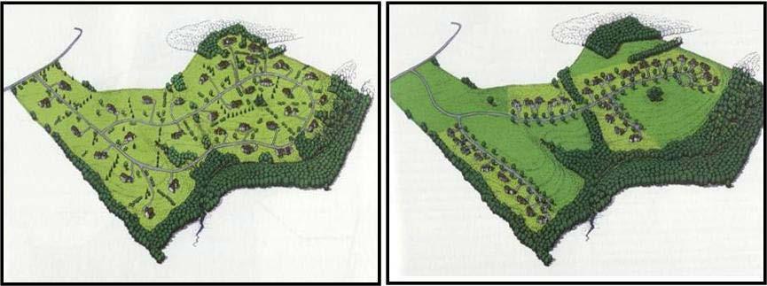 Conservation Subdivision An approach to laying out subdivisions so that a significant percentage of land is permanently protected as