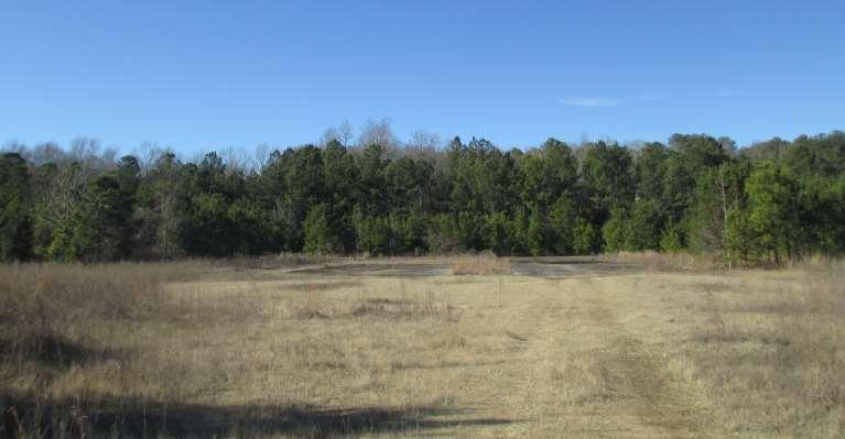 EXECUTIVE SUMMARY Pioneer Land Group is pleased to present 102± acres on River Road in Meriwether County, Georgia.