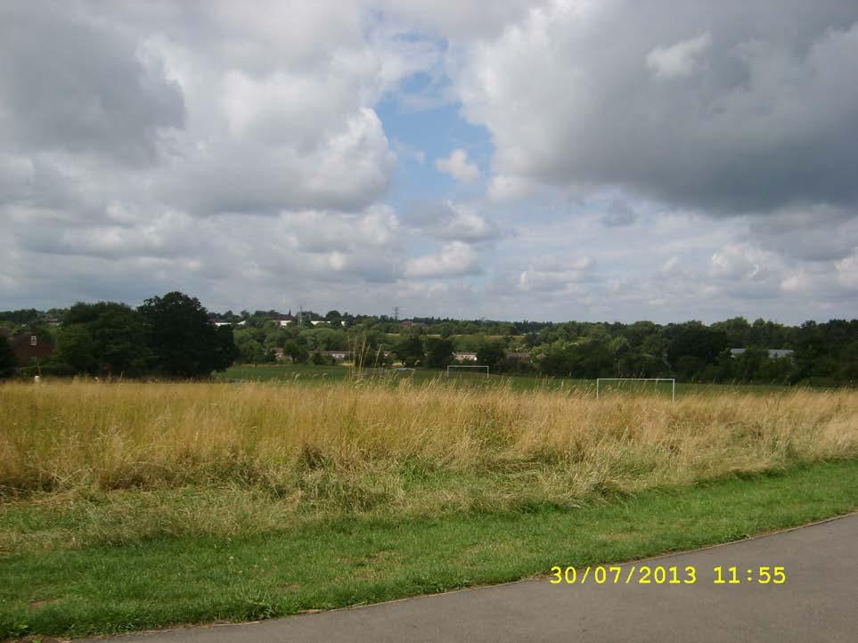Figure 4: View of park