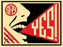bags (2009) Shepard Fairey Inspired by a song of the same name