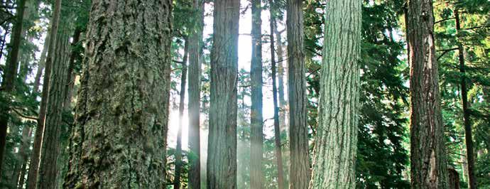EPRA British Columbia EPRA BC is proud of its ongoing role in protecting the British Columbia environment by providing convenient, efficient and environmentally sound options to BC residents for