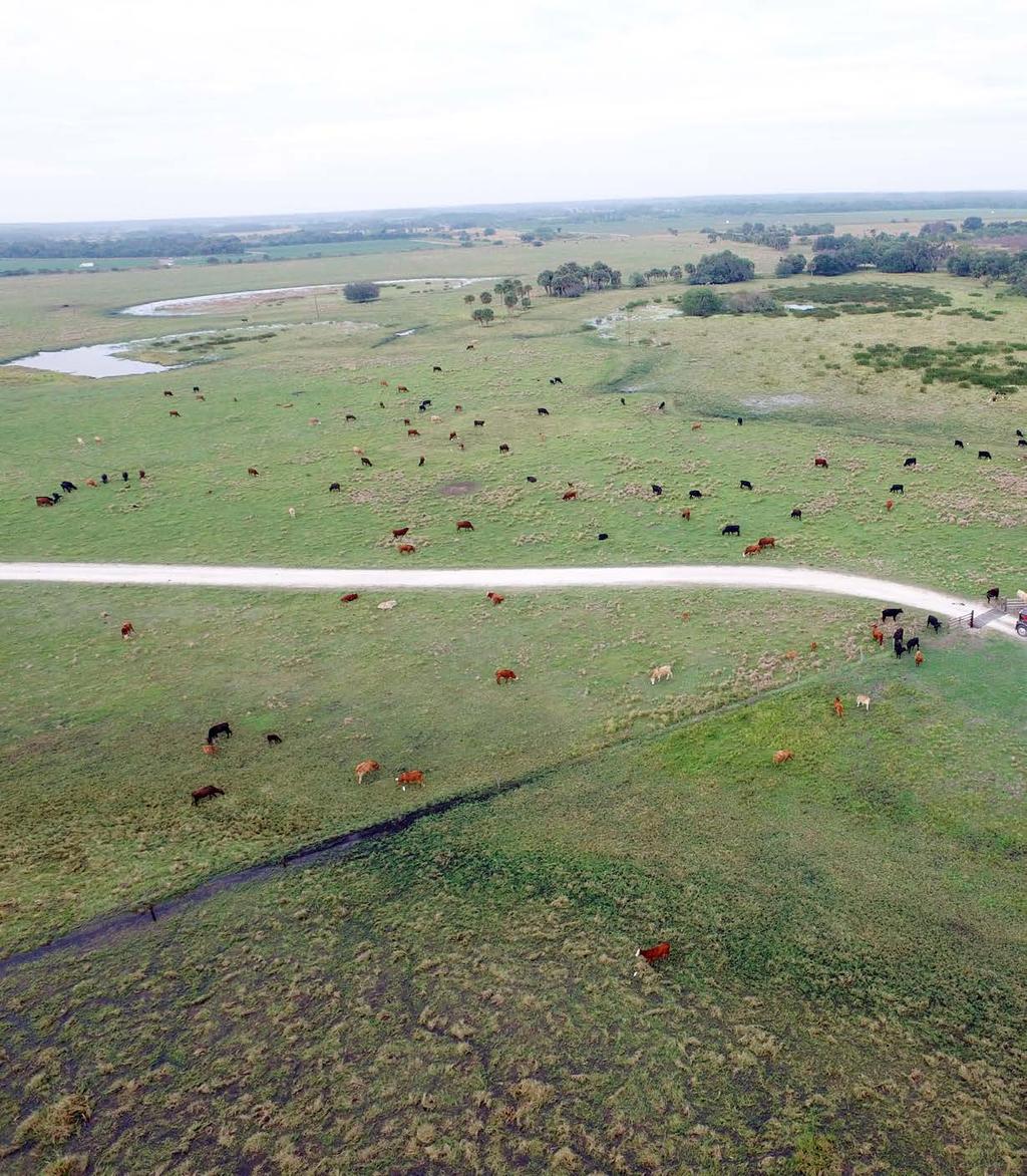 380 +/- Acres of Highly-improved Pasture Currently Raising 800 Head of Cattle for Beef Highly-improved pasture is currently available to