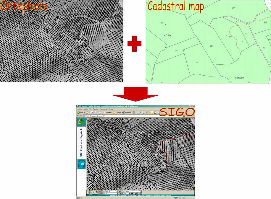 Governments begun to use not only the alphanumerical cadastral database but also the new digital maps.