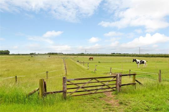 Paddock Land The paddock land has been separated into 16 individual paddocks, varying in sizes,