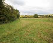 The land offer opportunities for pony paddocks or other amenity uses subject to gaining necessary consents.