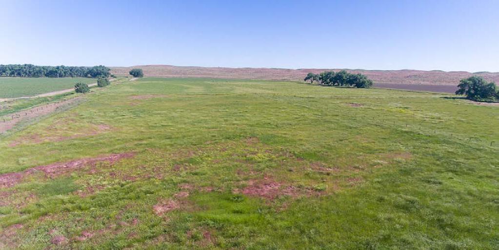 LOCATION & ACCESS The Jobman Equestrian Property is located approximately two miles east of Torrington, Wyoming with highway frontage to the property.