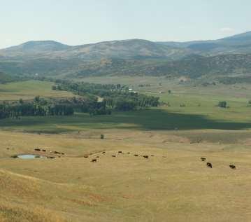 Elkhead Ranch PDR Project #132 Project Completion: August 2009 Total Acres: 645 Sponsor: Cattlemen s Land Trust Other Agencies: None Total per Acre: $620. PDR per Acre: $620.