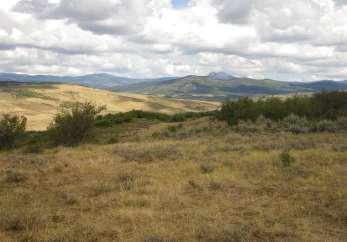Dry Fork Ranch PDR Project #168 Project Completion: September 2014 Total Acres: 3,507.11 Sponsor: The Nature Conservancy Other Agencies: GOCO Total per Acre: $339.91 PDR per Acre: $168.
