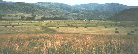 Higby Ranch PDR Project #106 Project Completion: August 2001 Total Acres: 261.