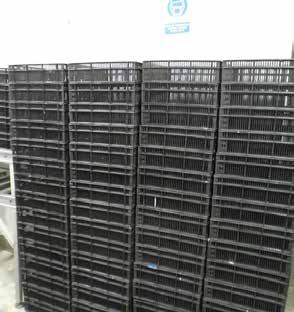 251 COBB CRATES (NEW) 229 EGG CRATES (YELLOW) 1 VACCINATOR 1 MASERATOR 2 GAS BOTTLES 3 HYDRO FANS 18
