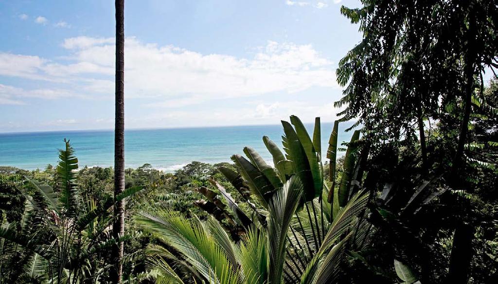 COLDWELL BANKER COMMERCIAL SAUNDERS REAL ESTATE SPECIFICATIONS & FEATURES Acreage: 180 +/- acres Sale Price: $725,000 Price per Acre: $4,028 Site Address: Carate, Osa Peninsula, Provincia: Puntarenas