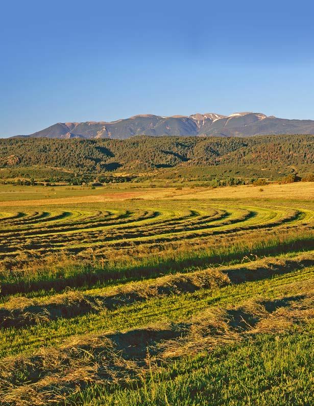 A Landowner Introduction to Conserving Land with Colorado