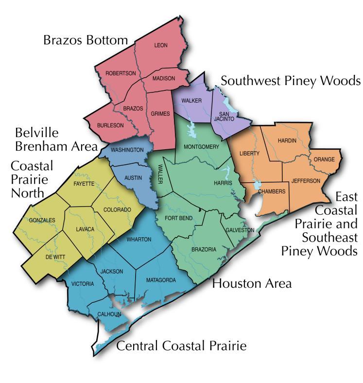 REGION FIVE: GULF COAST BRAZOS BOTTOM CHARACTERISTICS Encompasses the Beaumont-Port Arthur, Bryan- College Station, Houston-The Woodlands- Sugarland and Victoria MSAs.