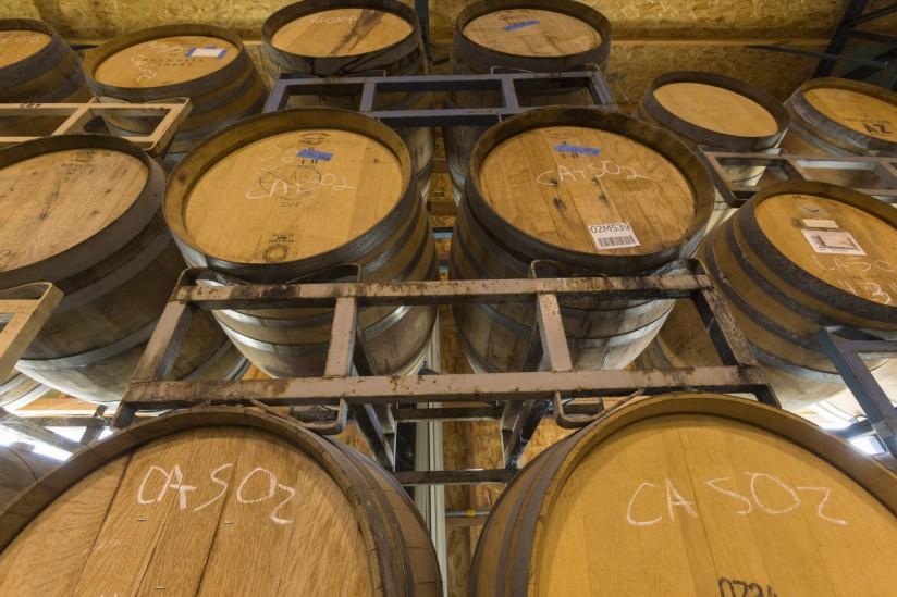 The production facility offers complete wine production from crush to bottle as well as wine storage. Tenuta also hosts small corporate and private events on site.