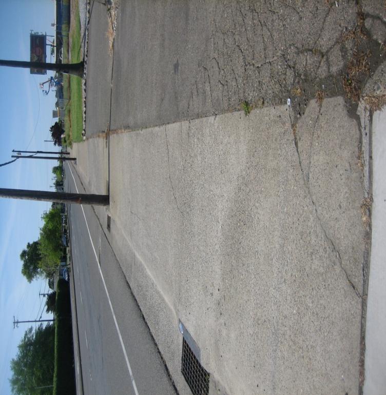 1. Photo of an existing driveway to the proposed project site from Watt Avenue.