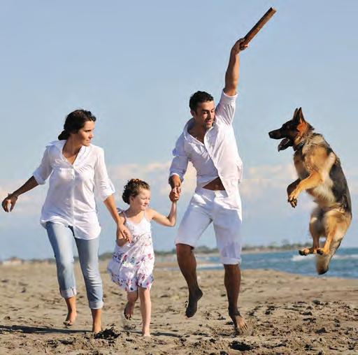 The emerging trend of pet parents has commanded high demand for premium pet products and services.