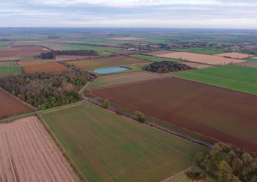 At Seggimoor Farm, Glentham, Market Rasen, Lincolnshire, LN8 2EU FOR SALE BY CONTRACTUALLY BINDING FORMAL TENDER 120.82 ha (298.