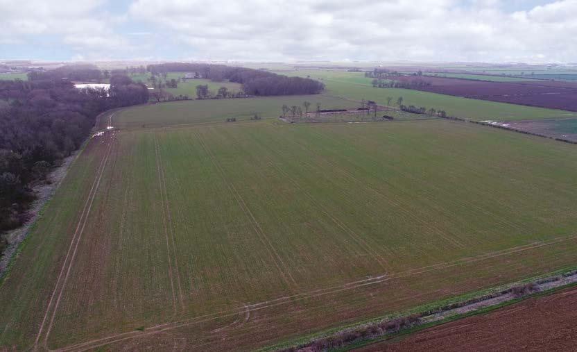 As a whole or in 3 lots Tender Date - Friday 19th May before 12 noon. Guide price for the whole - 2,700,000 Description A grade 3 arable holding with irrigation reservoir.