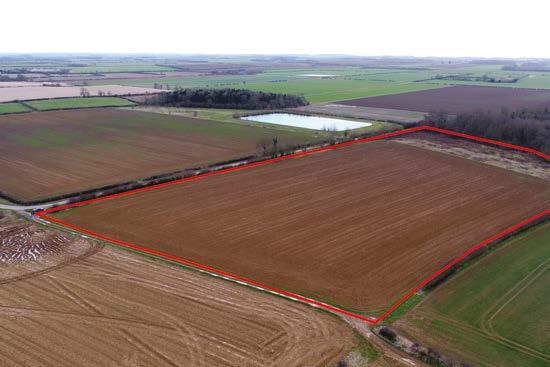 74 ha) Bishop Norton Road, Glentham, Market Rasen TENDER DATE: FRIDAY 19th MAY 2017 The land is to be sold by contractually binding formal tender on the following terms: 1.