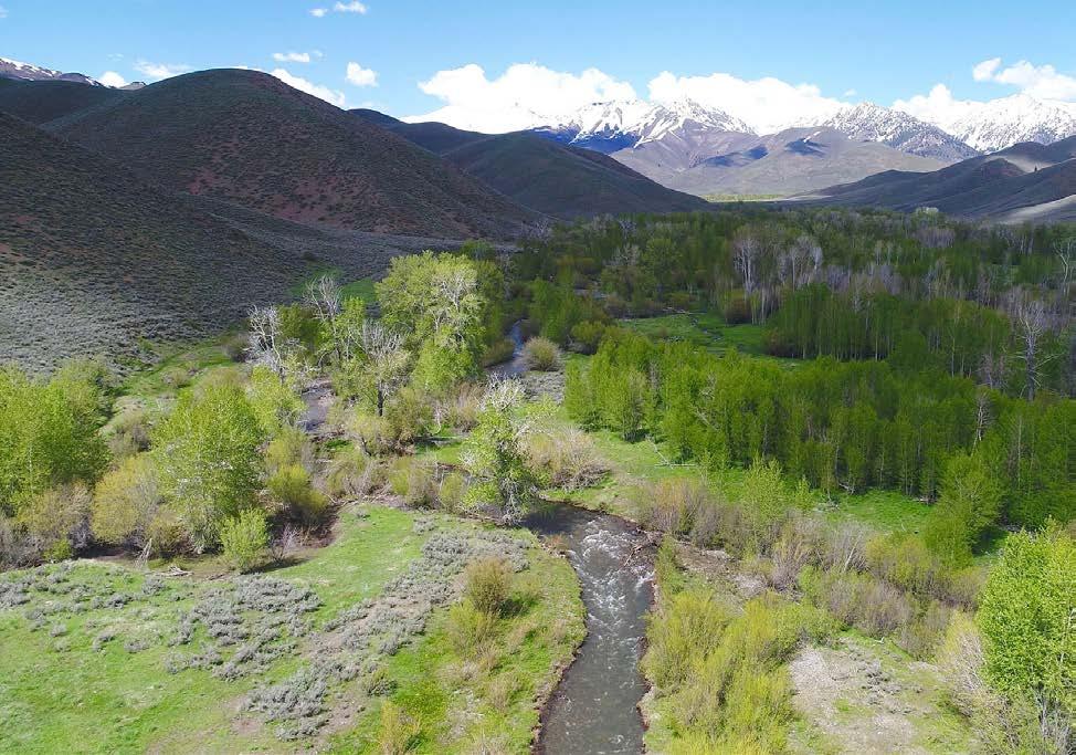EXECUTIVE SUMMARY Only 25 miles from Sun Valley s airport, this scenic mountain ranch is easily accessible to the amenities of a premier resort community, yet instills a sense of being a world away.