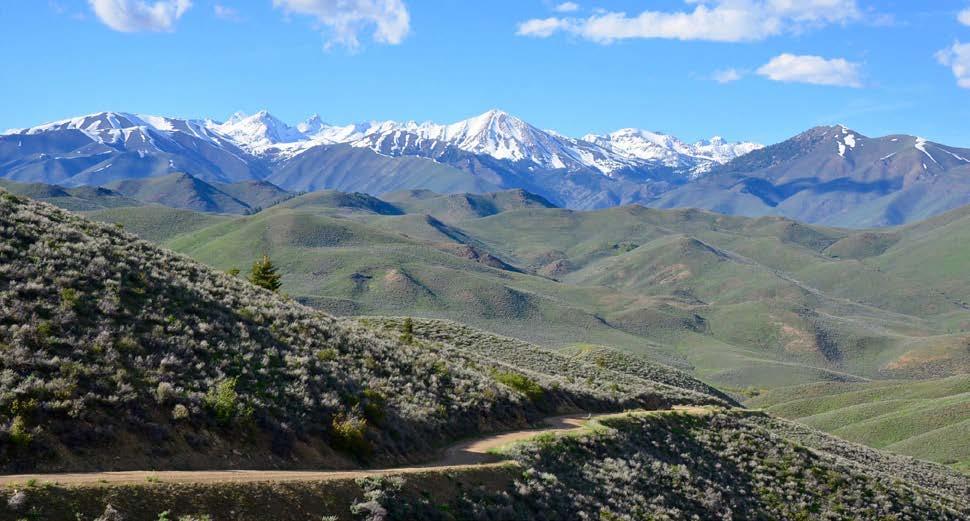 Pioneer Mountains and Upper Little Wood River Valley LOCATION Muldoon Creek Ranch is located in the foothills of the Pioneer Mountains 20 miles north of the farming and ranching community of Carey,
