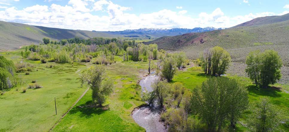 Muldoon Creek offers good fishing for rainbow and brook trout up to 13 inches with over a mile of the stream traversing the ranch.