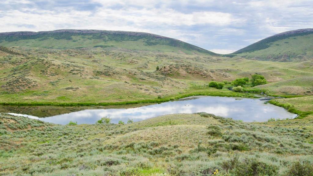 Specializing in Farm, Ranch, Recreational & Auction Properties Proudly Presents OX RANCH Platte County, Wyoming Located only two hours from the ever-expanding Front Range of Colorado, the OX Ranch is