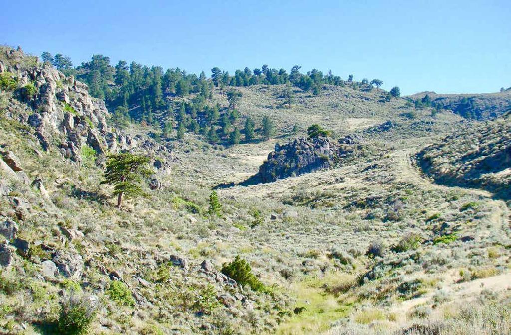 LOCATION & ACCESS The OX Ranch is located approximately 35 miles west of Wheatland, Wyoming. Year-round access is provided to the ranch from paved Wyoming Highway 34 and graveled Mule Creek Road.