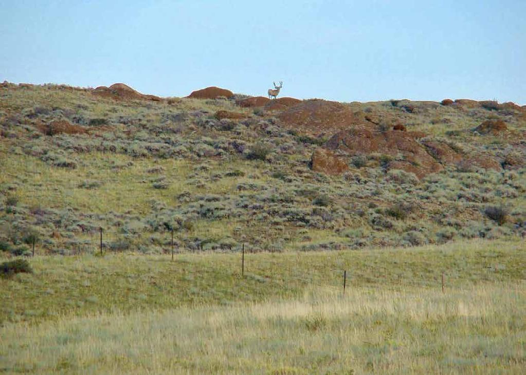 LEASE INFORMATION The State of Wyoming lease (No. 1-6869) that is included in the OX Ranch consists of 640± acres.