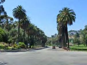 Name: Elysian Park Description: Elysian Park is located at 835 Academy Road, within the Elysian Valley neighborhood.