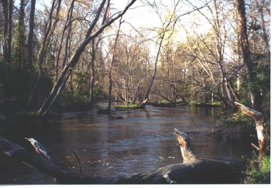 NATURAL RESOURCES (120 Points) Stream Buffer Protection (Max 40): vegetated buffers along streams Habitat Protection ( Max 40): number of acres that provide habitat for rare,