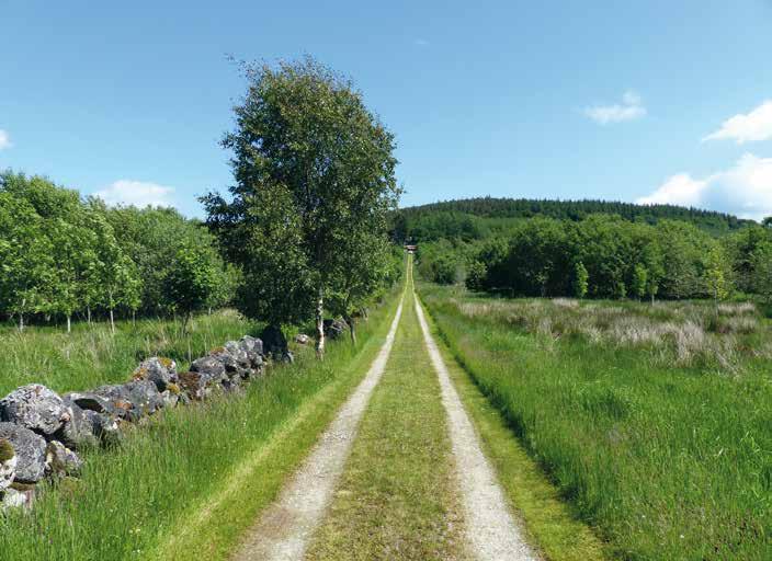 LOCATION Cumrie Farmhouse and Woodland is loated approximately 4 miles north of the town of Huntly in Aberdeenshire; situated in a seluded loation beside the Bin Forest, with lovely views over the