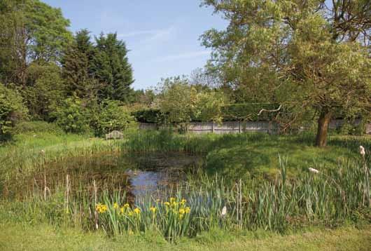 There are extensive formal lawns, well stocked shrub and herbaceous borders, hedgerows, a wildlife pond, an orchard with plum, apple and pear trees and a woodland path, ideal for