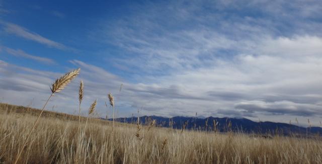 Montanas fresh mountain air & forever views follow you no matter where you go here.
