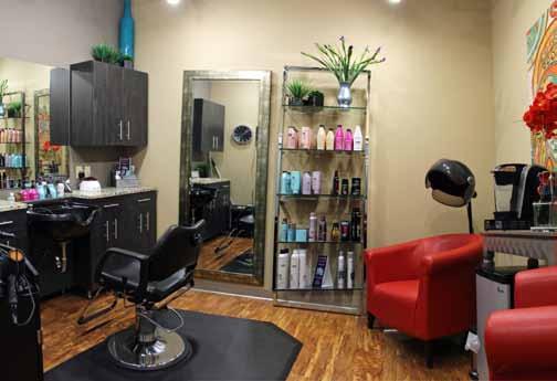 nail technicians, estheticians and massage therapists who want to own their own salon.