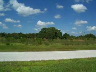and wooded improved land, looking north along Sarasota Center Boulevard 15.