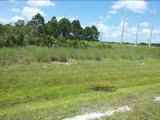 View of northern portion of Lot# 3 of the Site, looking northwest