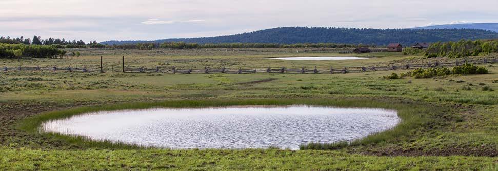 WATER RESOURCES A two-acre pond at ranch headquarters is currently stocked with