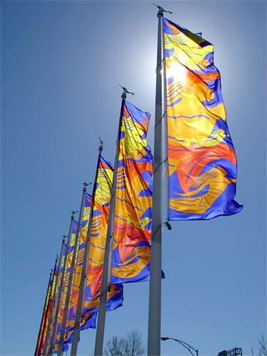 (12) Flag Banners (a) A row, circle or cluster of flag banner poles with internal halyard rigging for the purposes of displaying banners or flags to create a festive and kinetic visual statement.