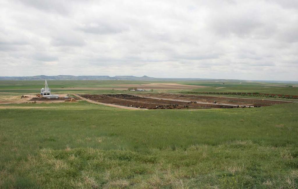 Livestock Processing Facility: The processing facility is built of steel pens located on a south slope for better drainage and faster drying time.