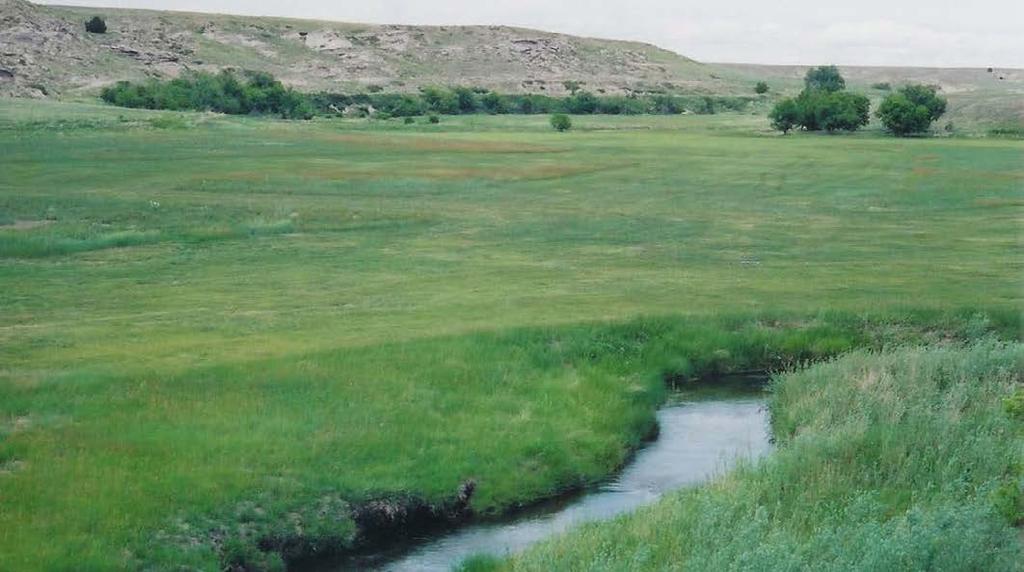 numerous springs that make this one of the best watered ranches in the state.