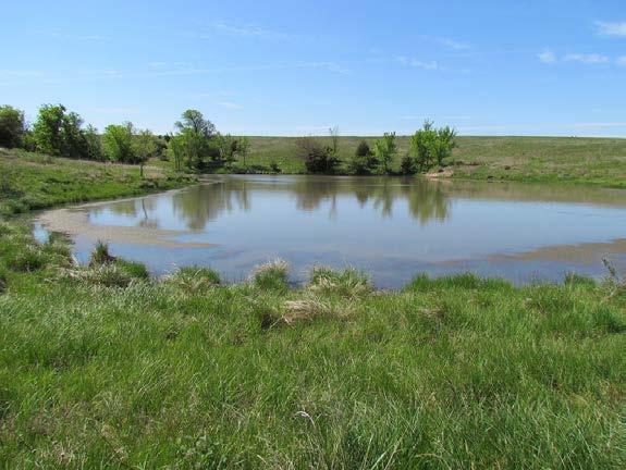 This is truly one of the finest hard grass ranches Waldo Realty has had the opportunity to market.