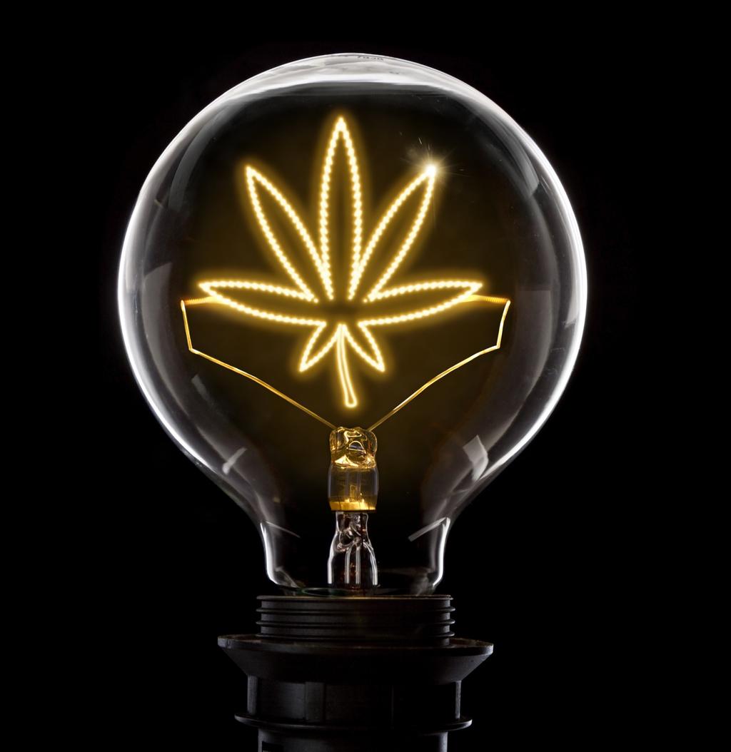 While the United States is grappling with the complexities of marijuana legislation and sales across some states, the marijuana wave is now washing over Canada.
