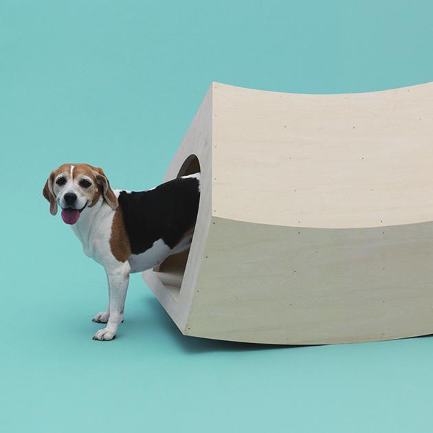 2014.12.25 ARCHITECTURE FOR DOGS 2014.12.6 (Sat.) - 2015.5.10 (Sun.