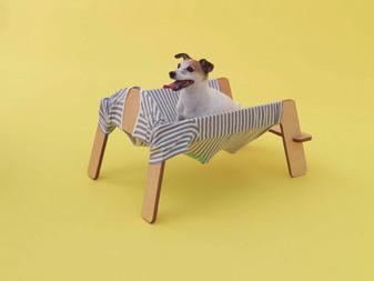 1 2 Main visual for ARCHITECTURE FOR DOGS 3 4 ARCHITECTURE FOR