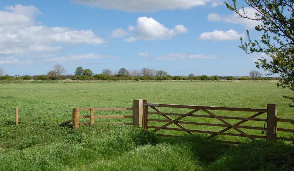 9 acres of productive grassland Suitable for mowing and grazing purposes Generating 9,022 per annum under ELS/HLS scheme and SPS value of circa 10,314 per annum before modulation Recently re-fenced